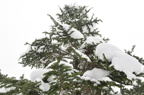 D2011002_063H