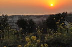 D2011003_004H