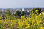 D2011003_014H