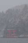 D2011004_019V