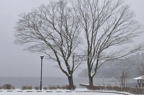 D2011004_039H