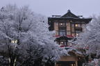 D2011004_043H