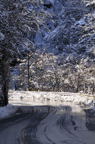 D2011005_003V
