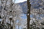 D2011005_008H