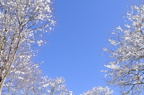 D2011005_009H