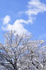 D2011005_010V