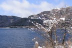 D2011005_017H