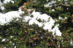 D2011005_032H
