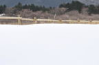 D2011005_038H