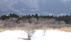 D2011005_047H
