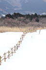 D2011005_048V