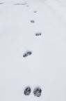 D2011005_079V