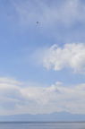 D2011007_009V