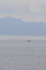D2011007_045V
