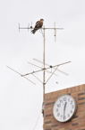 D2011007_047V