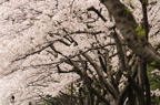 D2011010_026H
