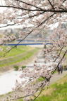 D2011010_031V