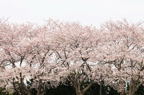 D2011010_034H