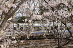 D2011010_049H