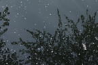 D2011011_062H