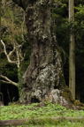 D2011012_028V
