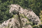 D2011012_043H