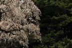D2011012_058H