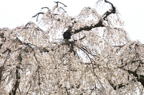 D2011012_059H