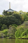 D2011015_041V