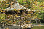 D2011015_046H