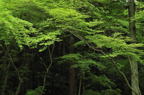 D2011015_054H