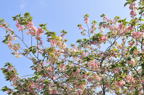 D2011015_071H