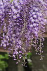 D2011017_048V