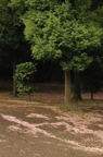 D2011017_080V