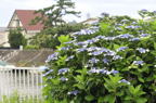 D2011021_054H