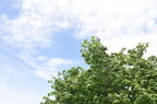 D2011021_116H