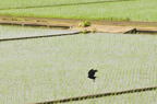 D2011021_133H