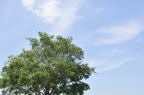 D2011022_038H