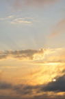 D2011023_011V