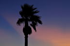 D2011023_088H
