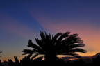 D2011023_091H