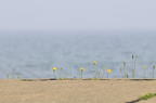 D2011024_070H