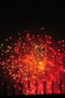 D2011026_238V