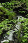 D2011027_004V