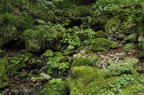 D2011027_005H