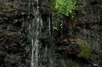 D2011027_006H