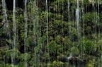 D2011027_024H