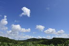 D2011029_005H