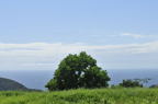 D2011029_008H