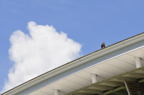 D2011029_020H